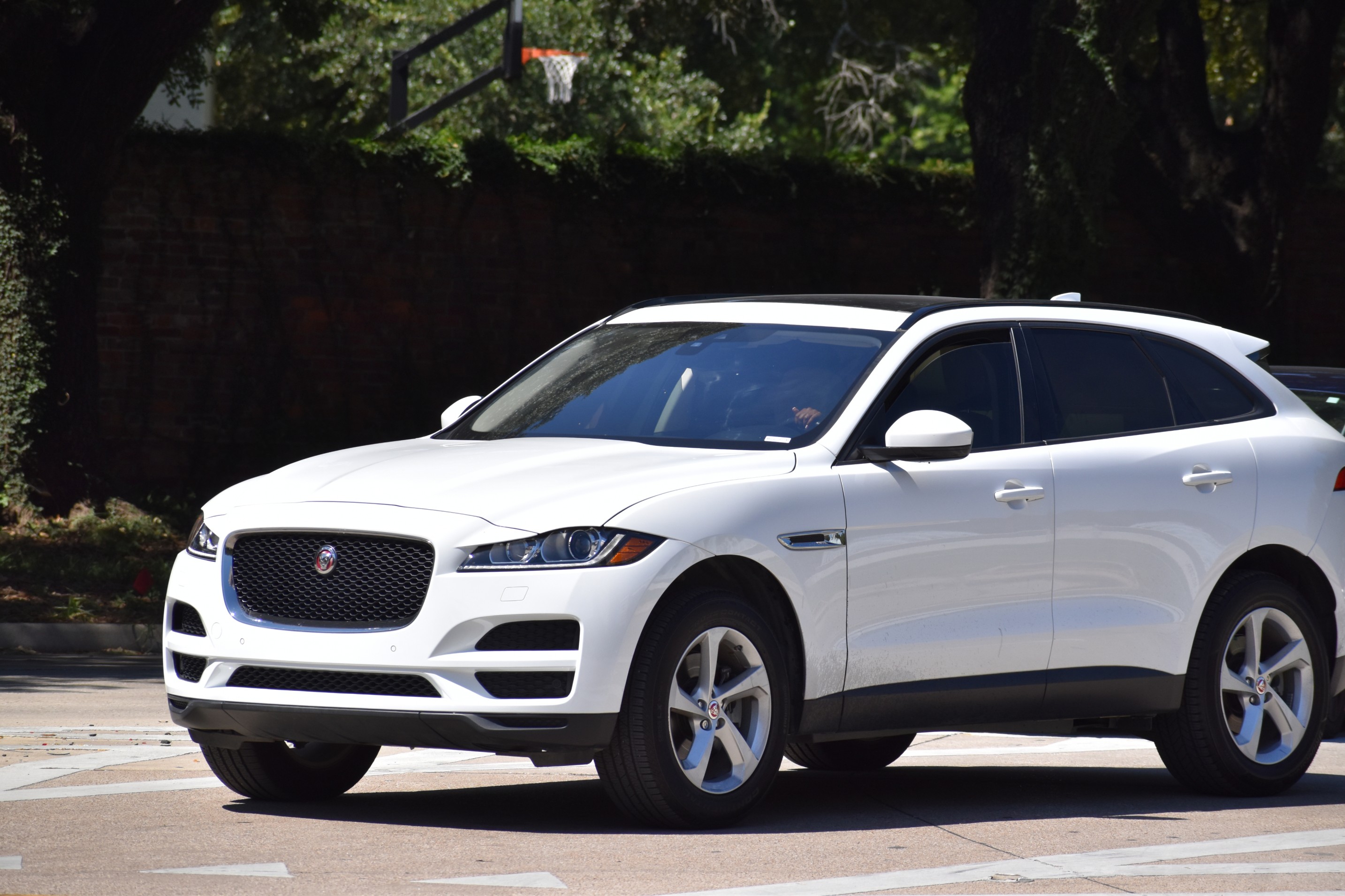 Used Jaguar auto parts hero image